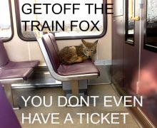 Train fox ticket