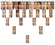 Celebrity face mix