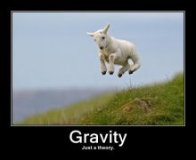 Gravity jump sheep