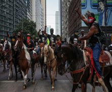 Houston horse protest