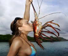 Kiss lobster zoo